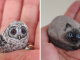 Artist Paints On Stones And Makes Them Look Like Adorable Animals That Fit Inside Your Palm