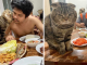 Wife Documented How Their Cat Stole Her Husband In Adorable Pics