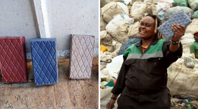 This Woman Recycled Plastic Waste Into Bricks, Claims They Are Stronger Than Concrete!