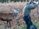 Wildlife Photographer Was Clueless When A Stag Sneaks Up Behind Him