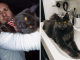 Meet Vincent, The Fluffy Maine Coon Cat Who Looks Like A Black Panther And Acts Like A Dog