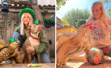 Woman Has A Lifelong Friendship With Her Childhood Pet Tortoise For More Than Two Decades