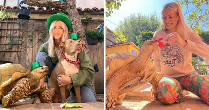 A woman has lifelong friendship with her childhood pet tortoise For More than Two Decades