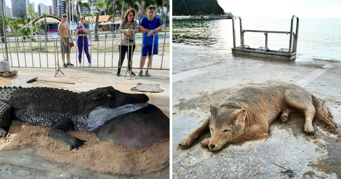 Artist Make Sand Sculptures That Might Make You Do A Double Check