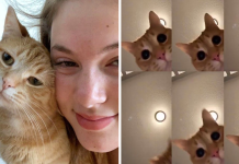 Girl Makes A Hilarious Video Of Her Cat Dancing To A Song