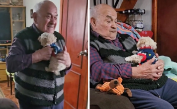 Granddaughter Gives Her 96 Y.O. Grandpa A Puppy, Sees His Remarkable Transformation