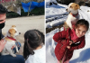 Little Girl Trudges Through Snow To Get Help For Her Sick Dog