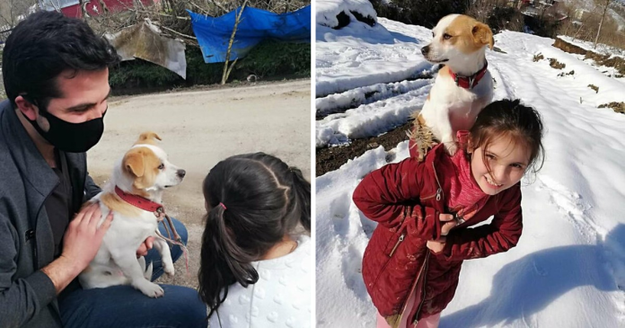 Little Girl Trudges Through Snow To Get Help For Her Sick Dog