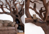 Man Creates Indoor Fake Tree For His Cat, And The Cat Loves It