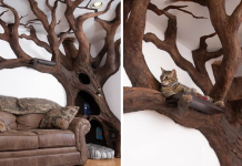 Man Creates Indoor Fake Tree For His Cat, And The Cat Loves It