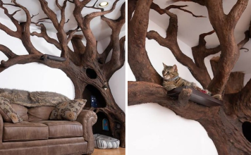 Man Creates Indoor Fake Tree For His Cat, And The Cat Loves It