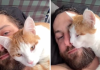 Kitten Wanders Into Camper’s Tent And Demands To Be Snuggled